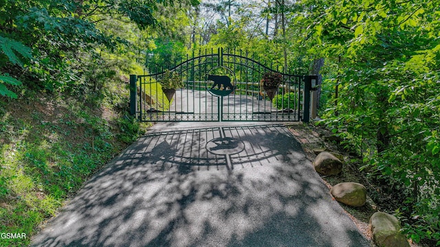 3341 Sugar Maple Loop Rd, Sevierville, TN 37862 - photo 5
