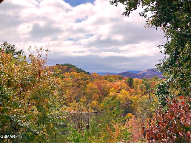 3341 Sugar Maple Loop Rd, Sevierville, TN 37862 - photo 72