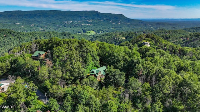 3341 Sugar Maple Loop Rd, Sevierville, TN 37862 - photo 91
