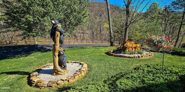 3341 Sugar Maple Loop Rd, Sevierville, TN 37862 - photo 84