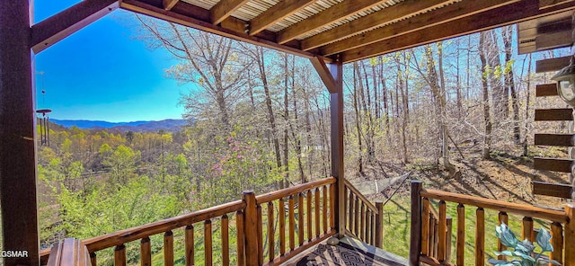 3341 Sugar Maple Loop Rd, Sevierville, TN 37862 - photo 41