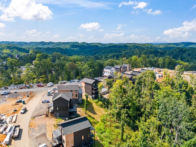 1302 Reedmont Way, Sevierville, TN 37876 - photo 49