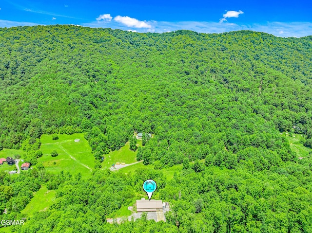 2625 Snake Hollow Rd, Sneedville, TN 37869 - photo 66