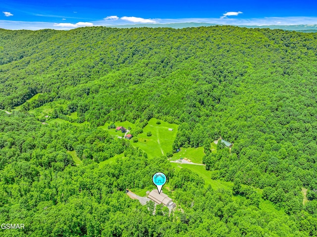 2625 Snake Hollow Rd, Sneedville, TN 37869 - photo 67