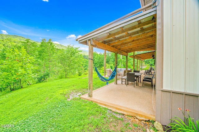 2625 Snake Hollow Rd, Sneedville, TN 37869 - photo 51