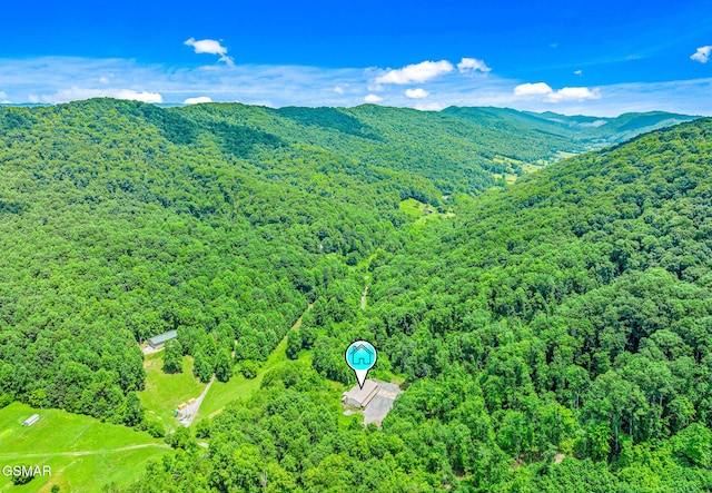 2625 Snake Hollow Rd, Sneedville, TN 37869 - photo 72