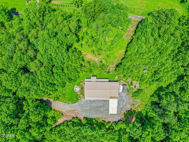 2625 Snake Hollow Rd, Sneedville, TN 37869 - photo 65