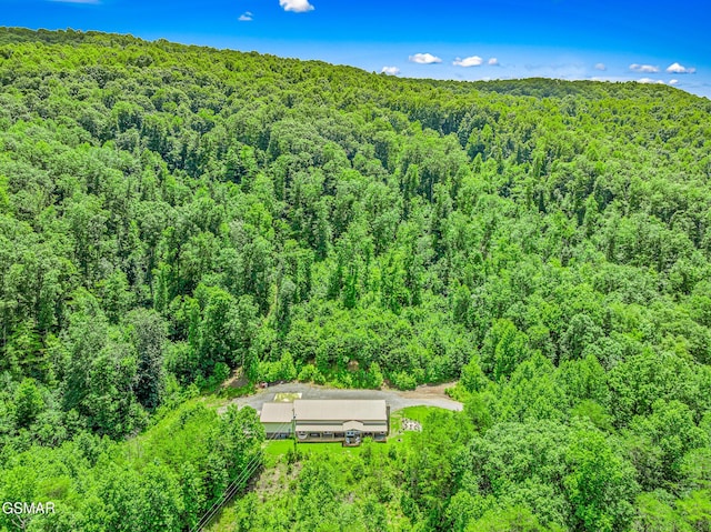 2625 Snake Hollow Rd, Sneedville, TN 37869 - photo 70
