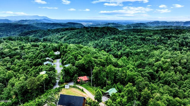 719 Hazy Cir, Gatlinburg, TN 37738 - photo 36