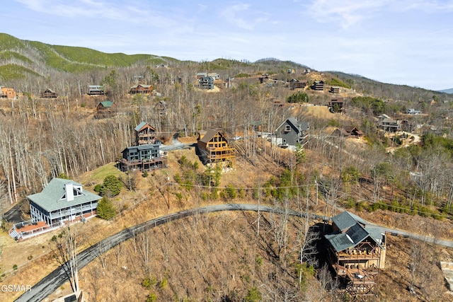 aerial view with a mountain view