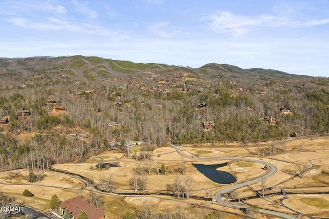 property view of mountains