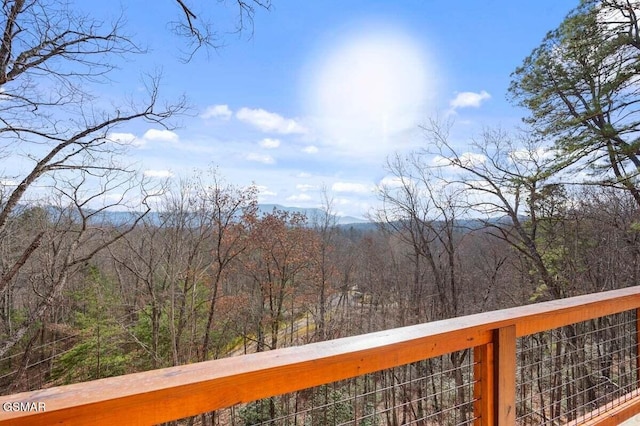 1808 Spring Hill Dr, Sevierville, TN 37876 - photo 46