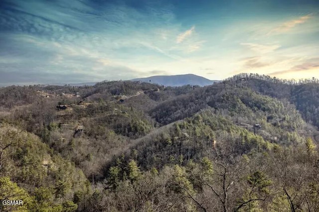 mountain view featuring a forest