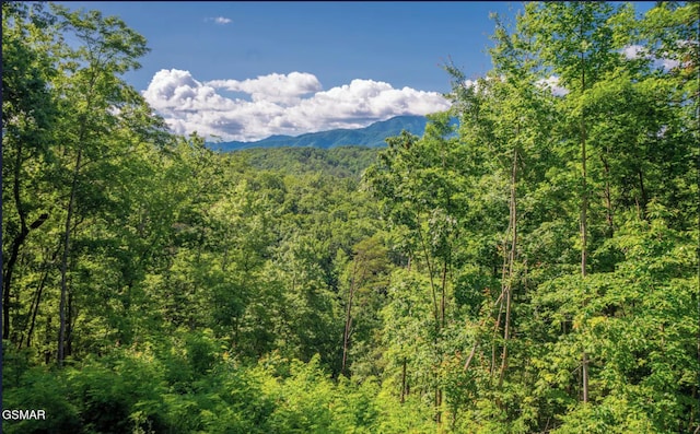 view of mountain feature