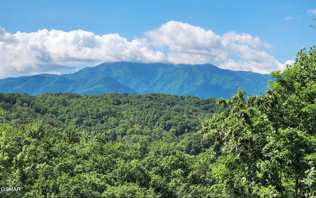 property view of mountains