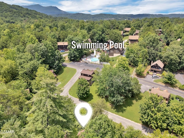 706 Falcons Nest Way, Pigeon Forge, TN 37863 - photo 29