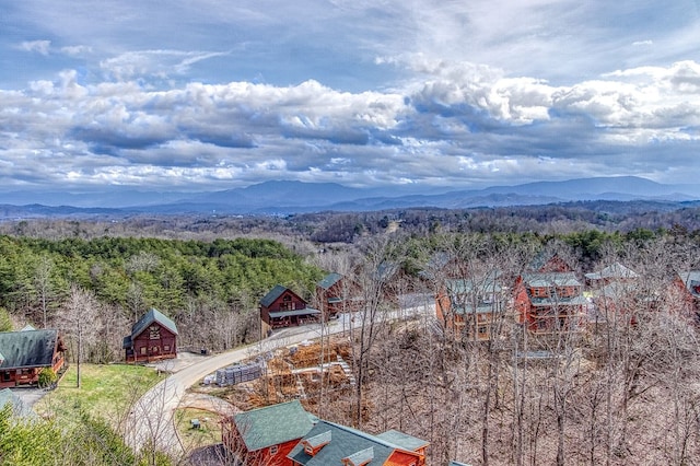 bird's eye view with a mountain view