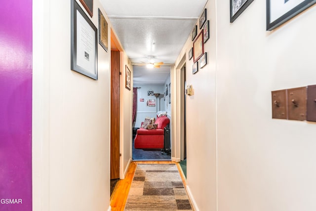 1069 Bryan Rd, Sevierville, TN 37862 - hall with wood finished floors and a textured ceiling