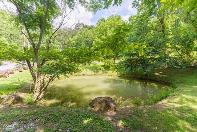 1069 Bryan Rd, Sevierville, TN 37862 - view of yard featuring a water view