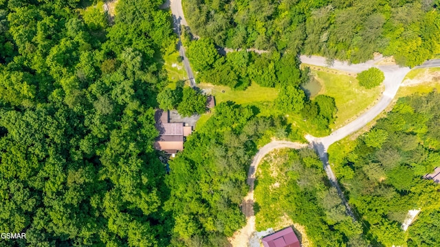 1069 Bryan Rd, Sevierville, TN 37862 - aerial view