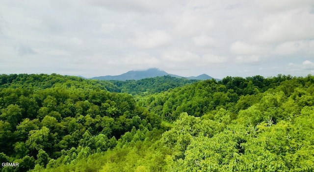 742 Hardin Ln, Sevierville, TN 37862 - photo 12