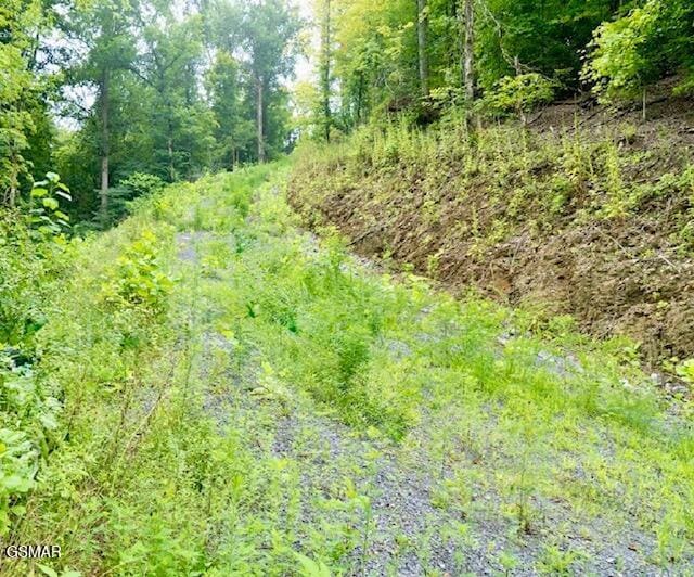 742 Hardin Ln, Sevierville, TN 37862 - photo 13