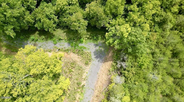 742 Hardin Ln, Sevierville, TN 37862 - photo 11
