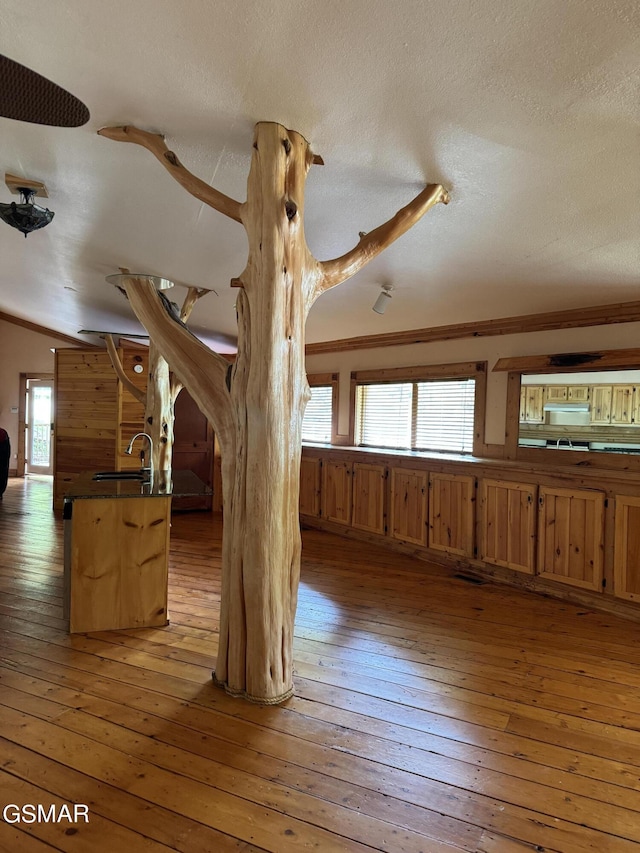 4205 Birds Creek Rd, Sevierville, TN 37876 - interior space with lofted ceiling, ornamental molding, a sink, a textured ceiling, and light wood-type flooring