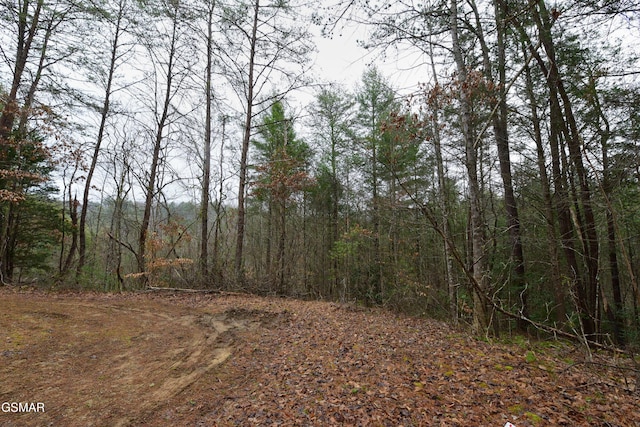 LOT23 Alpine Ridge Way, Sevierville TN, 37876 land for sale