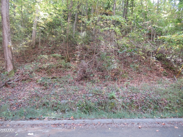 Listing photo 3 for LOT114 Bear Valley Rd, Sevierville TN 37862