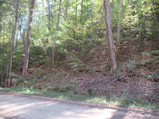 Listing photo 2 for LOT114 Bear Valley Rd, Sevierville TN 37862