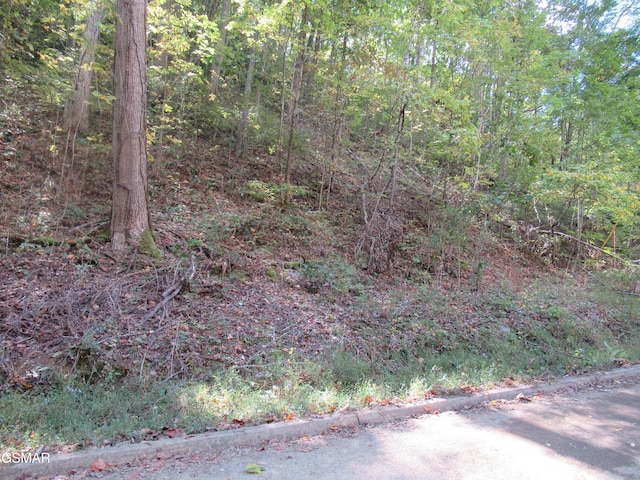 LOT114 Bear Valley Rd, Sevierville TN, 37862 land for sale