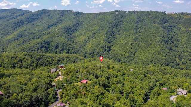 Listing photo 2 for Lot1 Lot1 Drive, Gatlinburg TN 37738