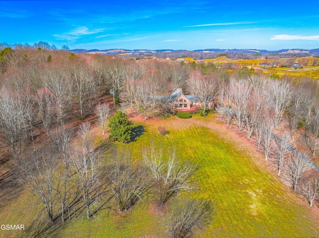 bird's eye view featuring a mountain view