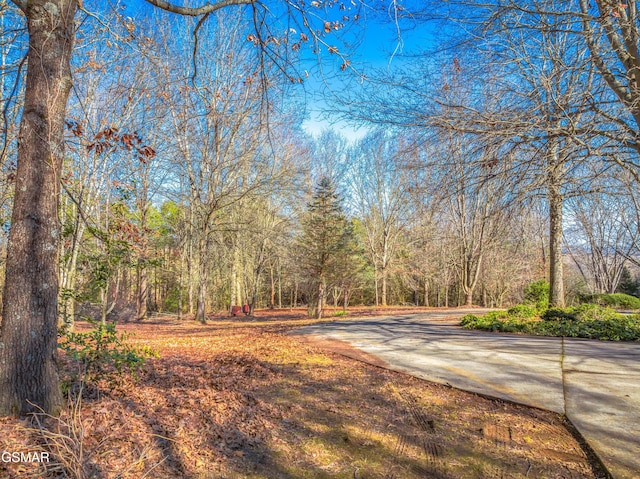 view of road