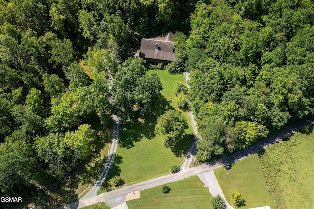 3819 Abbott Rd, Sevierville, TN 37862 - photo 70