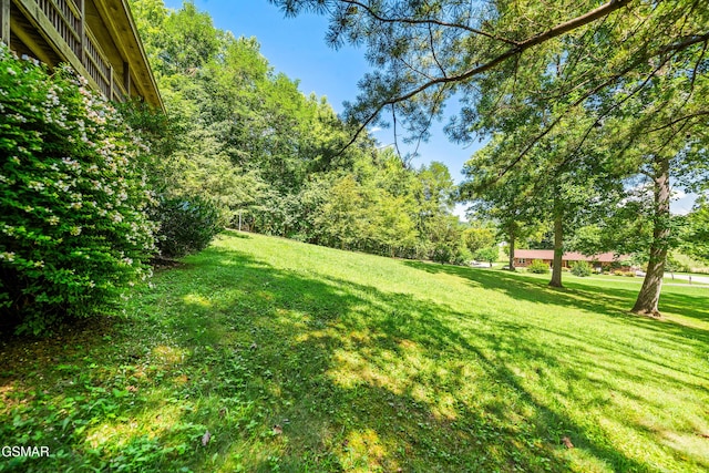3819 Abbott Rd, Sevierville, TN 37862 - photo 58
