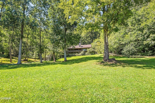 3819 Abbott Rd, Sevierville, TN 37862 - photo 61