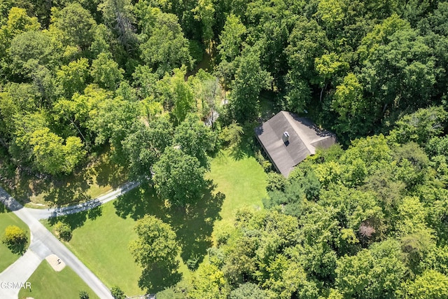 3819 Abbott Rd, Sevierville, TN 37862 - photo 63