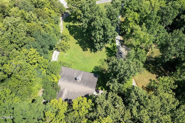3819 Abbott Rd, Sevierville, TN 37862 - photo 62
