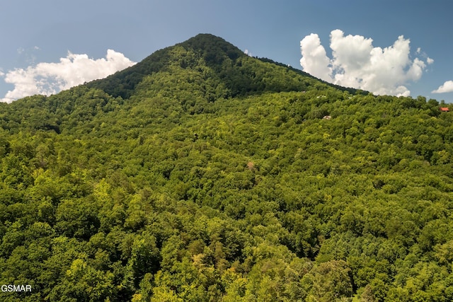 3819 Abbott Rd, Sevierville, TN 37862 - photo 69