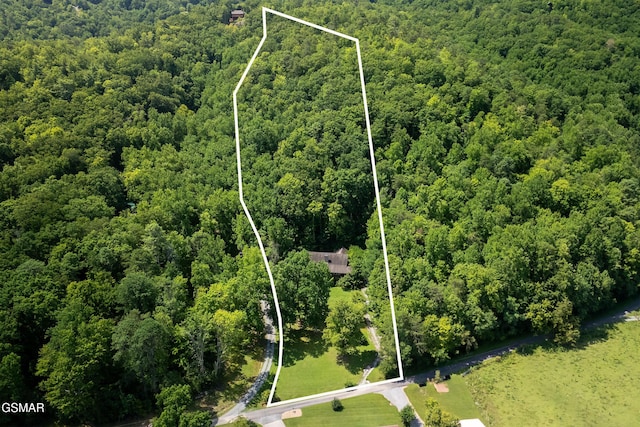 3819 Abbott Rd, Sevierville, TN 37862 - photo 66