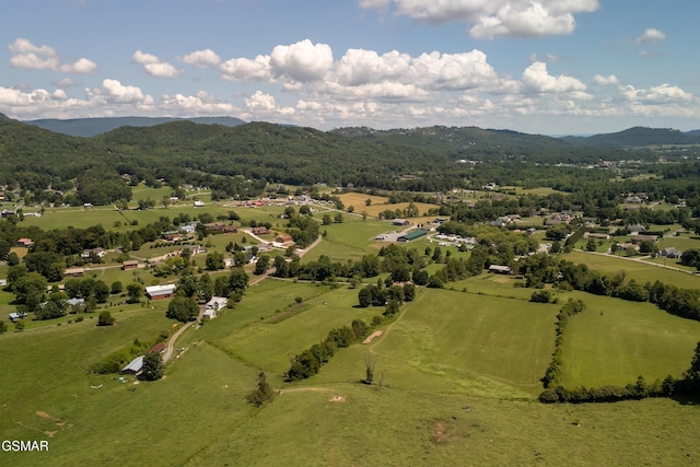 3819 Abbott Rd, Sevierville, TN 37862 - photo 65