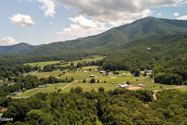 3819 Abbott Rd, Sevierville, TN 37862 - photo 67