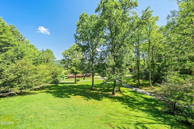 3819 Abbott Rd, Sevierville, TN 37862 - photo 59
