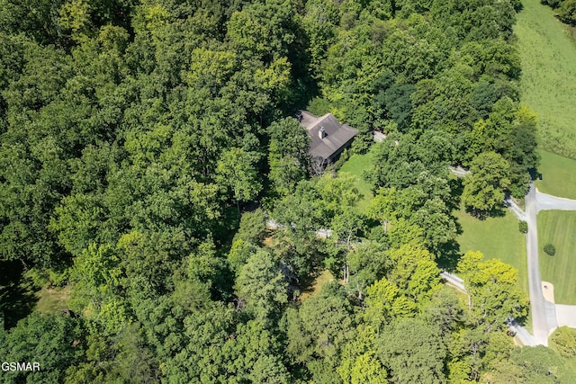 3819 Abbott Rd, Sevierville, TN 37862 - photo 68