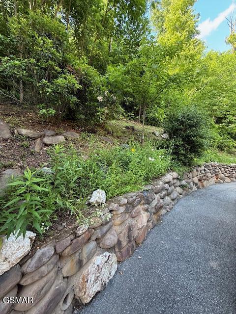 933 E Foothills Dr, Gatlinburg, TN 37738 - view of yard