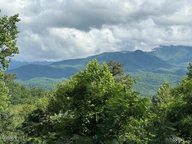 933 E Foothills Dr, Gatlinburg, TN 37738 - view of mountain background featuring a heavily wooded area