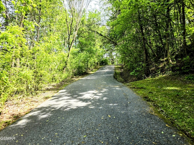 view of street featuring a view of trees