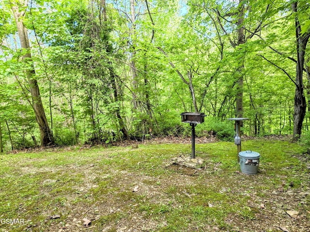 view of yard with a view of trees